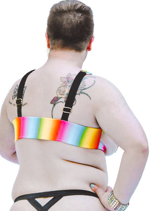 Rainbow Sherbet Star Crossed Harness